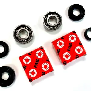 SET 4 Wellendichtringe + 2 x Kurbelwellenlager 6202/C3 von FAG für Sachs 505 Motor Online Kaufen