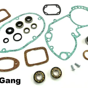 Motordichtsatz Überholsatz klein Sachs 50 mit 2 Gang Motor Lager E15 Dichtungen Lager Simmering Must-Have