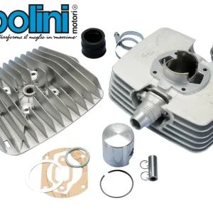 POLINI Hercules 80ccm 48mm Zylinderkit TUNING Serie 6000 für Sachs 5-Gang AC Meistverkauft