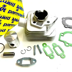 Neuheit 5,2PS PARMAKIT 40mm 50ccm Zylinder Kreidler Florett Gebläsegekühlt schräger Einlass