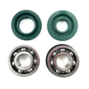 Super-Preis Puch Maxi E50 Dichtungssatz Lagersatz Kurbelwelle AM 6203 C3 NTN Wellendichtring Kurbelwellenlager