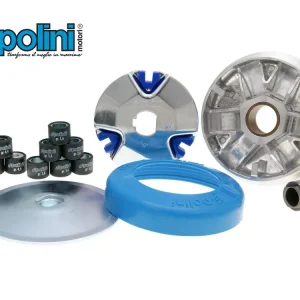Begrenztes Angebot POLINI Variator Variomatik Wandler Piaggio Ciao Si Bravo Citta
