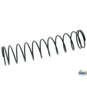 Kracherpreis Schieberfeder Vergaser BING 53 passend für MZ 150