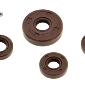 Angebot Satz Wellendichtringe für SIMSON SR1, SR2, SR2/E - FKM braun