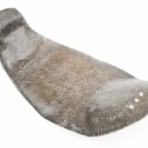 Sitzschale Super-Preis