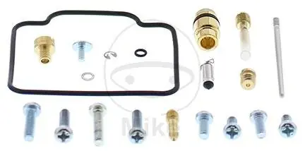 Schnäppchen Kit riparazione carburatore per Arctic Cat Cat 250 2WD 1999-2001