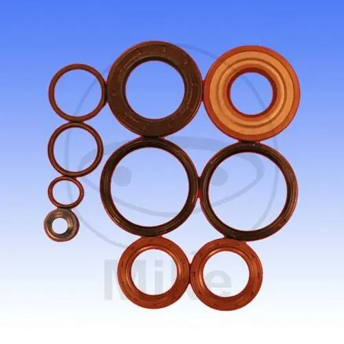 Schneller Versand Oil seal set ATH for Gilera Runner 125 180 Italjet Dragster 125 180