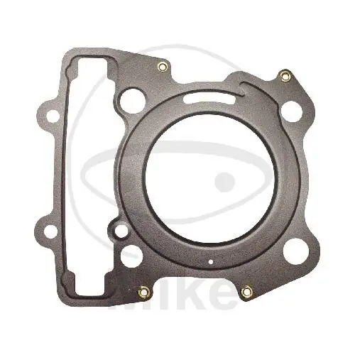 Kostenfreie Lieferung Cylinder head gasket for KTM Duke RC 200