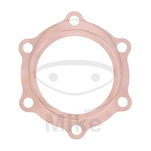 Gratis Versand DICHT ZYL KOPF OE