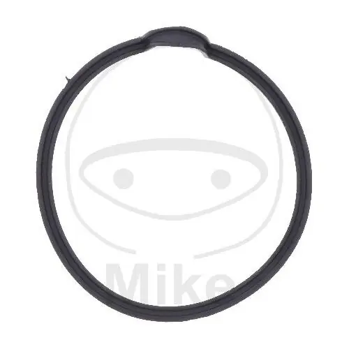 Neuheit Variomatic cover gasket for Triumph 600 # 03-05