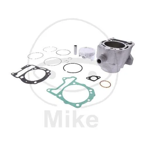 Begrenztes Angebot ZYL STZ 300CCM ATH STD ZYL STZ