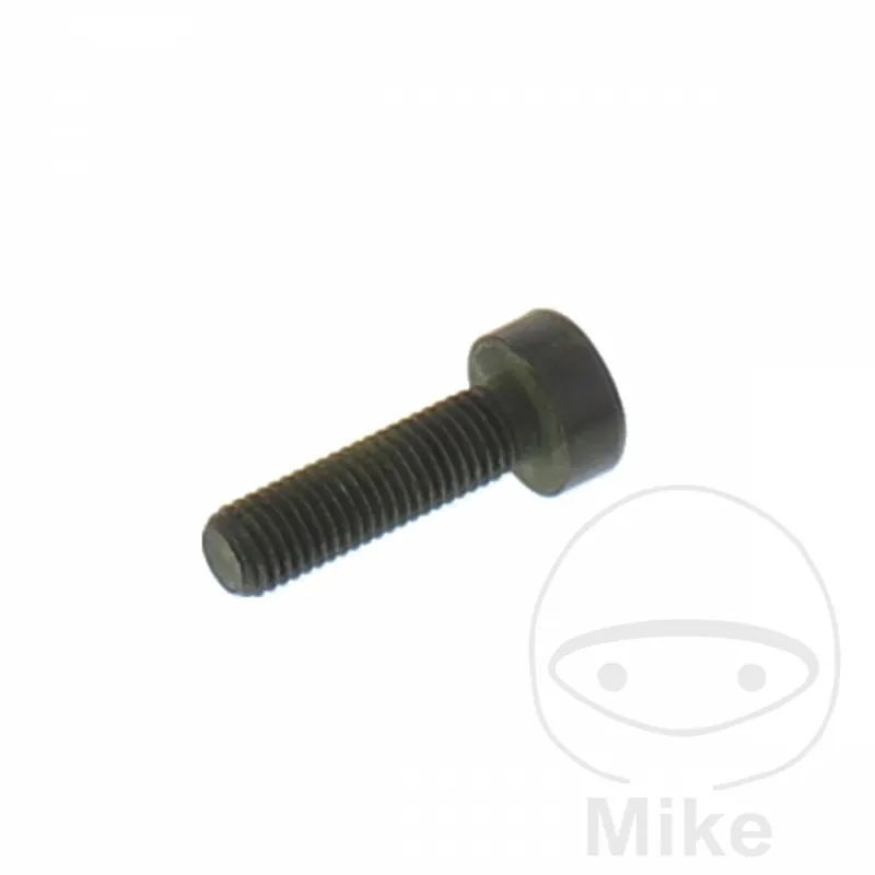Neue Kollektion Screw M7x1.0x25mm for BMW K 75 100 1100 1200 K1 1000 R 850 1100